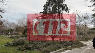 Από θαύμα δεν θρηνήσαμε θύματα στην Αλεξανδρούπολη - Γιατί δεν ήχησε το 112