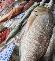 Ιχθυοπωλείο