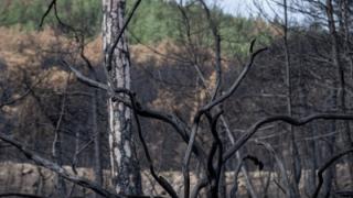 Έβρος: «Με κάθε κτηνοτρόφο που φεύγει είναι σαν να κλείνει ένα κατάστημα στην Αλεξανδρούπολη»