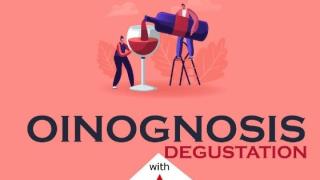 OINOGNOSIS: Μια ιδιαίτερη βραδιά σας περιμένει στο Tierra Wine Bar Restaurant!