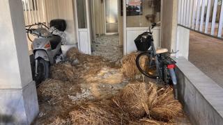 Βαμβάκι και άχυρα πέταξαν οι αγρότες στην πόρτα του Ευριπίδη Στυλιανίδη! (φωτο)