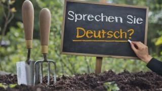 Ανθοκομία & Γερμανικά τα δύο νέα προγράμματα που ξεκινούν στο ΚΔΒΜ Αλεξανδρούπολης