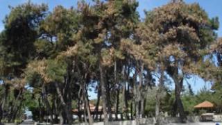 Αποκτά όνομα το πάρκο 'Εγνατία' στην Αλεξανδρούπολη.