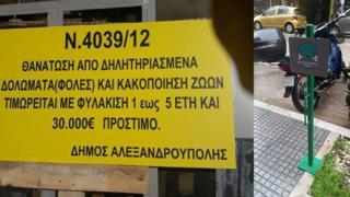 Κινήσεις προς μια πιο φιλόζωη Αλεξανδρούπολη 