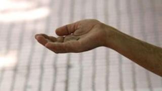 Αρκετά κρούσματα φτωχών-μαϊμού στην Αλεξανδρούπολη.