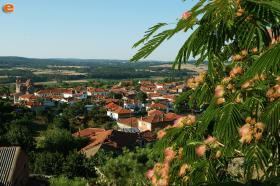 Το χωριό της Δαδιάς σε πρώτο πλάνο.
