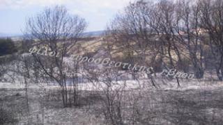 Φωτιά μικρής έκτασης στις παρυφές του οικισμού της Νίψας.