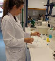 Anagenessis: Φυτικά βλαστοκύτταρα που προστατεύουν και δίνουν νεότητα στην επιδερμίδα