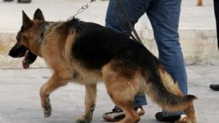 Δύο συλλήψεις για ναρκωτικά στο λιμάνι της Αλεξανδρούπολης με τη συνδρομή της «Λάικα»