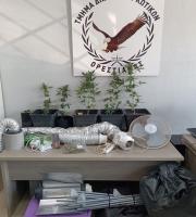 "Εργοστάσιο" κάνναβης έστησε ένας Ορεστιαδίτης στο σπίτι του (video & photo)