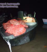 97 σάκοι με όστρακα του είδους ''αχιβάδα'' και “κυδώνι”.