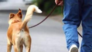 Ξεκινούν τα 'τσουχτερά' πρόστιμα σε ιδιοκτήτες ζώων που λερώνουν.