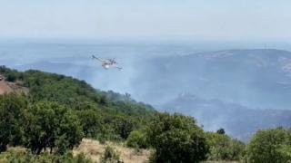 Απουσίες, κοκκορομαχίες και... φωτογραφίες στην πυρκαγιά της Δαδιάς