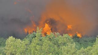Αυξημένος ο κίνδυνος πυρκαγιών στον Έβρο το φετινό καλοκαίρι.