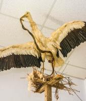 Museum of Folklore and Natural History