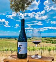 Αλκυόνη Τύπος: Ερυθρός Ξηρός 