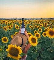 Οινοποιείο