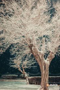 Κινηματογραφικά τοπία στην χιονισμένη Αλεξανδρούπολη τη νύχτα