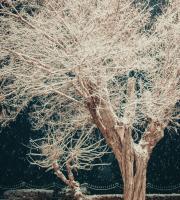 Κινηματογραφικά τοπία στην χιονισμένη Αλεξανδρούπολη τη νύχτα