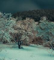 Κινηματογραφικά τοπία στην χιονισμένη Αλεξανδρούπολη τη νύχτα
