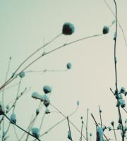 Κινηματογραφικά τοπία στην χιονισμένη Αλεξανδρούπολη τη νύχτα