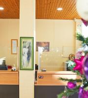 διεκπεραιώσεις παντός τύπου