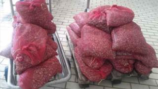 Αλεξ/πολη: Συλλήψεις για διακίνηση μεγάλης ποσότητας οστράκων.