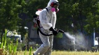 'Stop' του Ελεγκτικού συνεδρίου στο πρόγραμμα καταπολέμησης κουνουπιών στην ΑΜ-Θ.