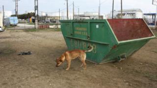 Έχει 'ξεφύγει' το θέμα με τις φόλες στην Αλεξανδρούπολη.