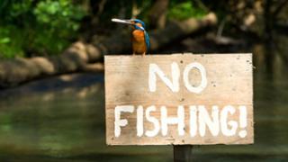 Αλεξανδρούπολη: Αίρεται η απαγόρευση αλιείας στη ζώνη Κ2.