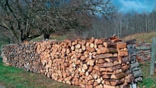 Μεγάλη η ζήτηση για αγορά καυσόξυλων.