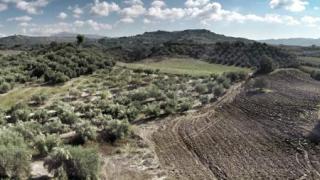 Απάντηση του Δήμου Αλεξανδρούπολης στον Αναπληρωτή Υπουργό Περιβάλλοντος και Ενέργειας για τους δασικούς χάρτες
