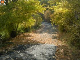 Στης Αισύμης την εξοχή.