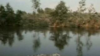 Αναστάτωση επικράτησε στο κεντρικό ανάχωμα του Πυθίου.