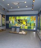 Alexandroupolis Natural History Museum