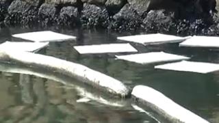 Πετρελαιοκηλίδα εντοπίστηκε στο λιμάνι της Αλεξανδρούπολης.