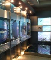 Alexandroupolis Natural History Museum