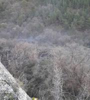 Μεγάλη δασική έκταση κάηκε στην περιοχή της Λευκίμης 