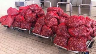 Κατάσχεση 1.330 κιλών ακατάλληλων οστράκων στην Αλεξανδρούπολη