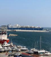 Το φορτηγό πλοίο «Endurance» "έδεσε" στο λιμάνι της Αλεξανδρούπολης.