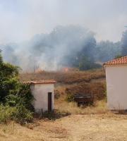 Ξανά φωτιά στο Σουφλί - Μικρής έκτασης πυρκαγιά στον οικισμό των Λαγυνών (φωτο & video)
