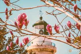 Με φόντο... την άνοιξη, στο φάρο της Αλεξανδρούπολης.