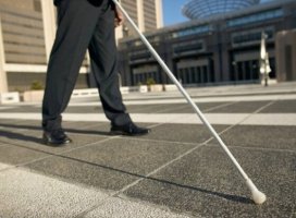 Παγκόσμια και Εθνική ημέρα του Λευκού Μπαστουνιού
