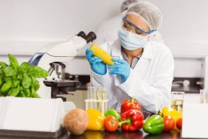 Ιδρύεται Πανεπιστημιακό Τμήμα Τεχνολογίας και Επιστήμης Τροφίμων στο Σουφλί!