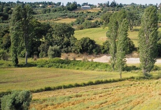 Εντοπισμός σκανδάλου με δηλώσεις καλλιέργειας στον Έβρο.