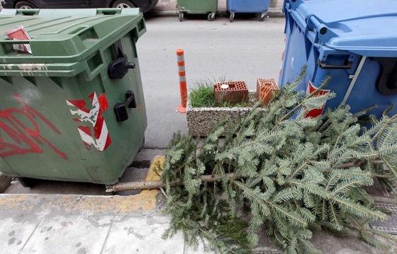 Περισυλλογή και ανακύκλωση χριστουγεννιάτικων δένδρων στην Αλεξανδρούπολη.