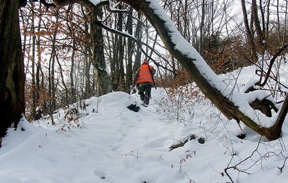 Λόγω της χιονόπτωσης και της παγωνιάς, τα Δασαρχεία Διδυμοτείχου και Σουφλίου απαγόρευσαν το κυνήγι.