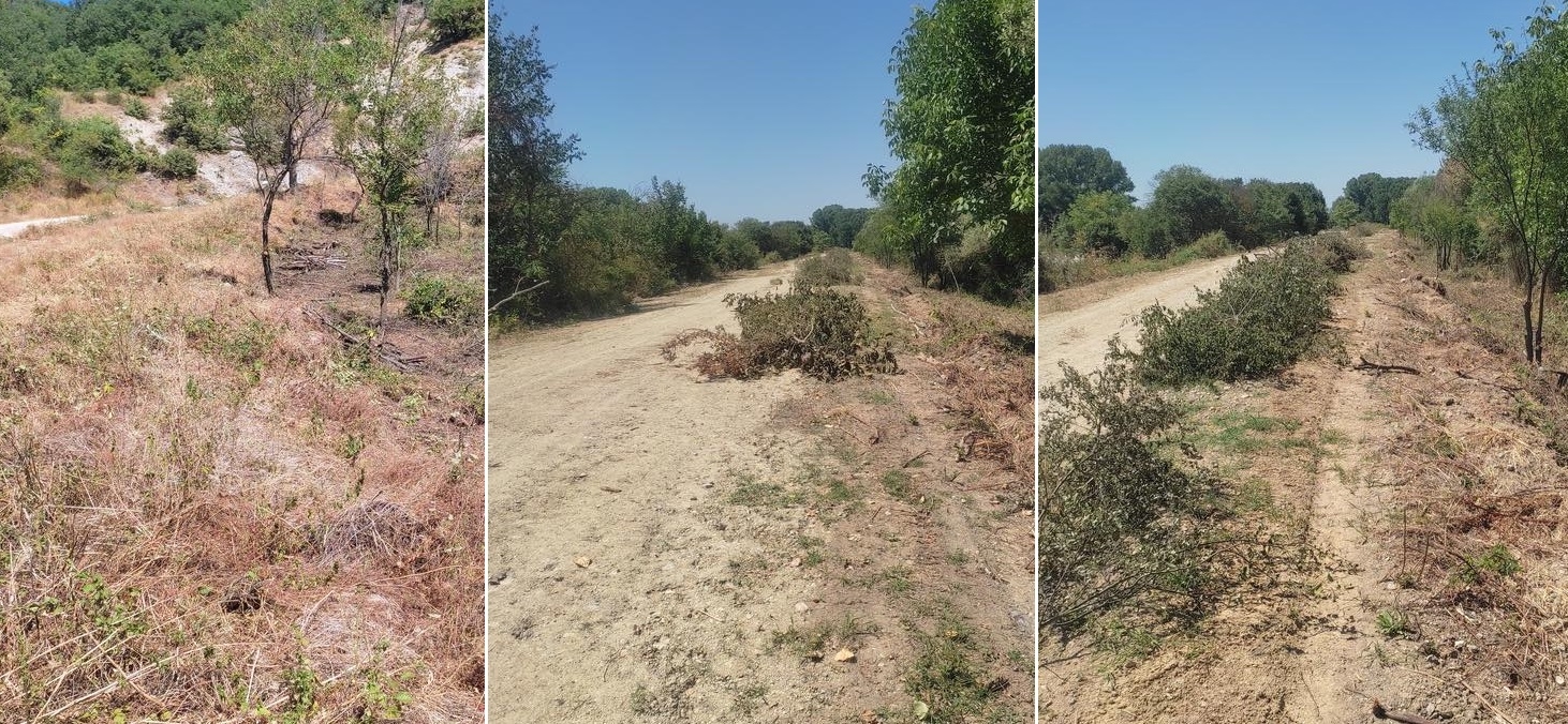 Σε τέσσερις οικισμούς του Τριγώνου κάνει παρεμβάσεις πυροπροστασίας ο Δήμος Ορεστιάδας.