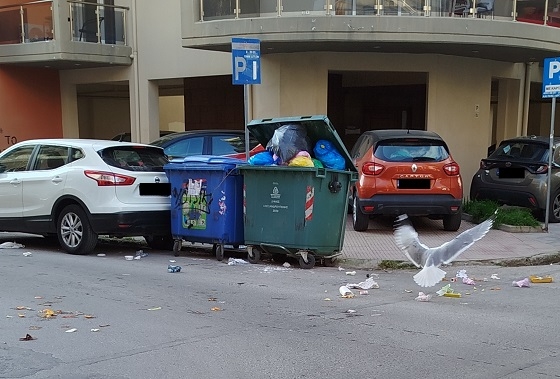 Οι γλάροι βρίσκουν γεμάτους κάδους και διασκορπίζουν τα σκουπίδια στους δρόμους.