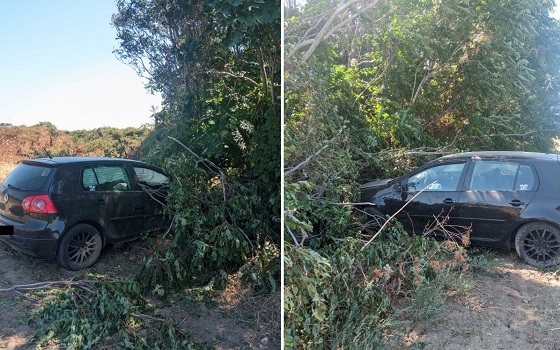 Σοβαρές ζημιές προκλήθηκαν από αγριογούρουνα σε αυτοκίνητα, πάνω στην Εθνική Οδό Αλεξανδρούπολης - Φερών.